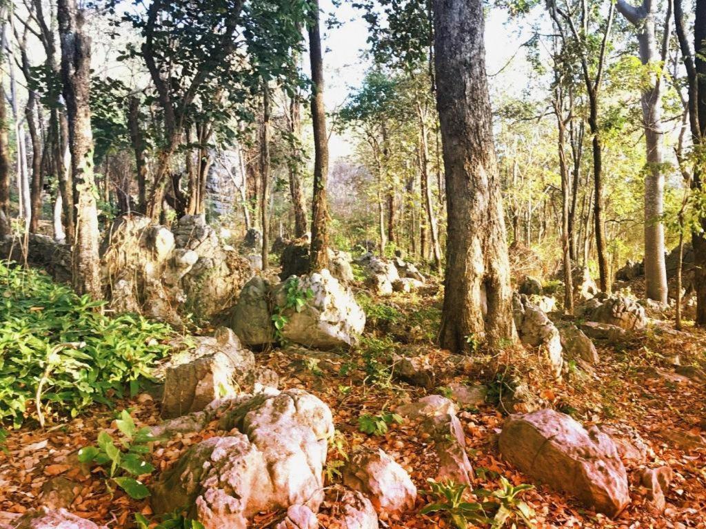Varee Valley Resort And Restaurant Khon Kaen Dış mekan fotoğraf